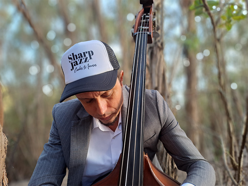 Carlos Meneses [collabs]