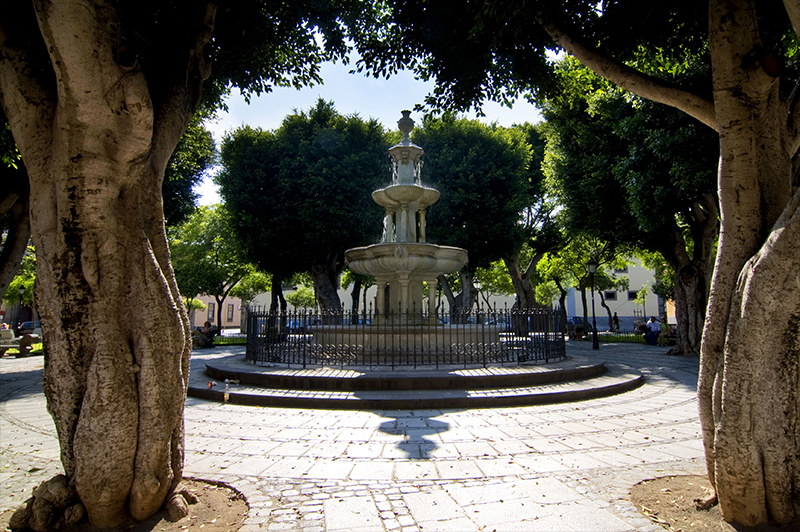 Plaza del Adelantado – La Laguna