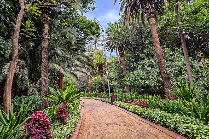 Parque García Sanabria – Santa Cruz de Tenerife